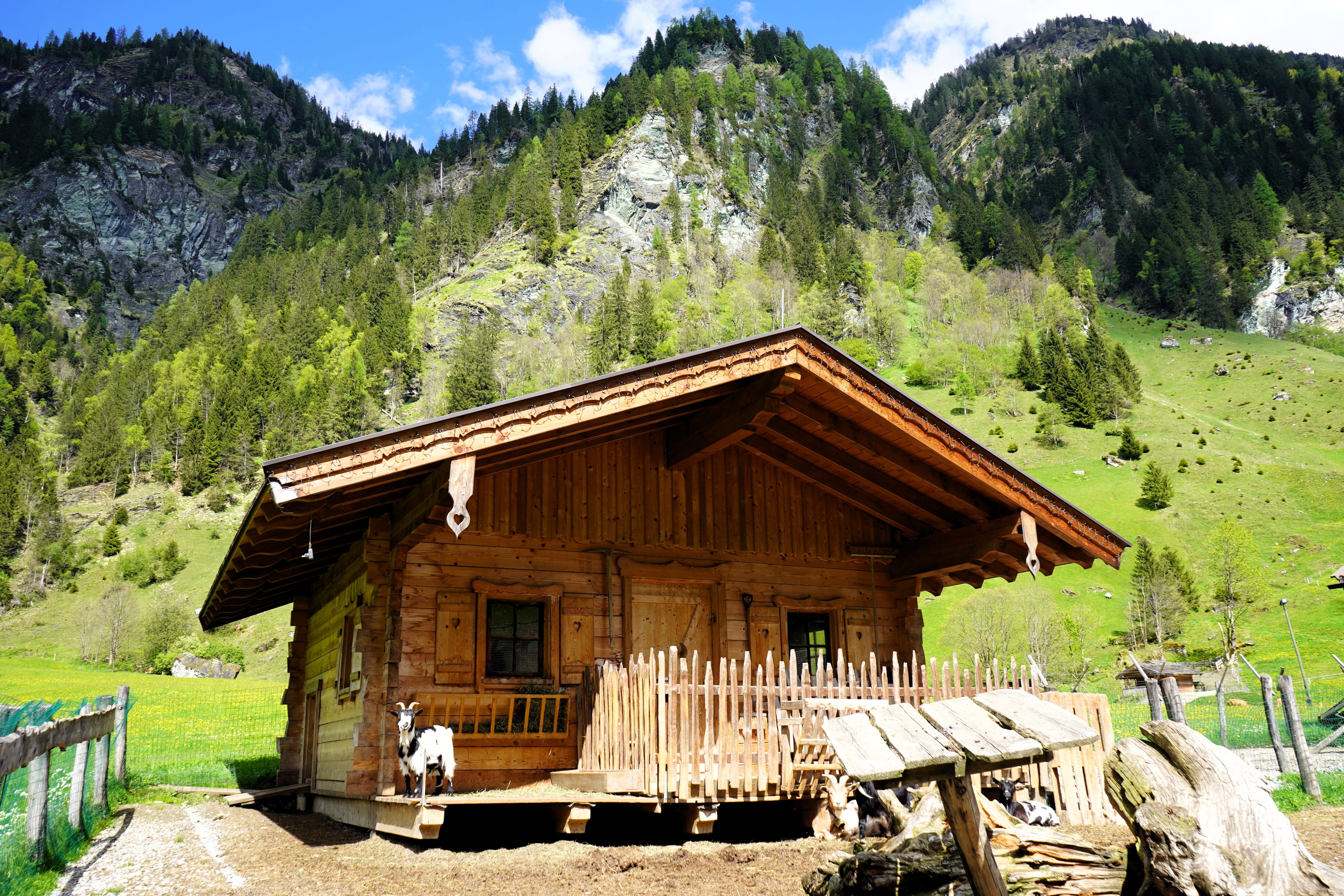 Bauernhof neben dem Restaurant in Großarl
